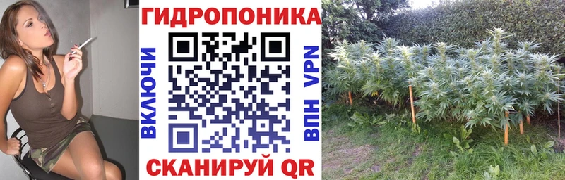 Наркота Лукоянов ОМГ ОМГ ТОР МАРИХУАНА COCAIN