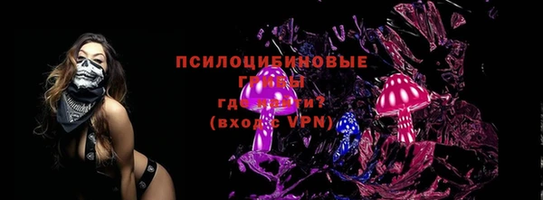 ГАЛЛЮЦИНОГЕННЫЕ ГРИБЫ Арсеньев