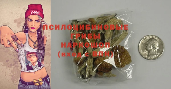 ГАЛЛЮЦИНОГЕННЫЕ ГРИБЫ Арсеньев